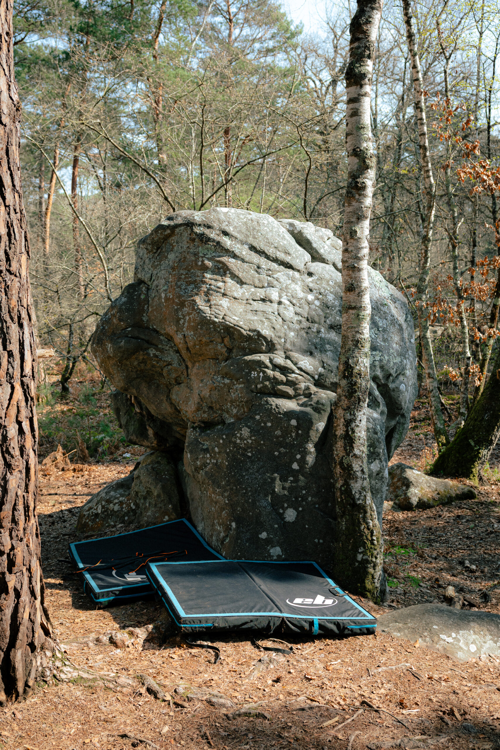 Bloc d'escalade dans la foret de Fontainebleau